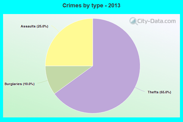 Crimes by type - 2013