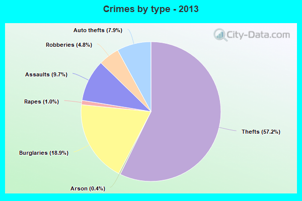 Crimes by type - 2013