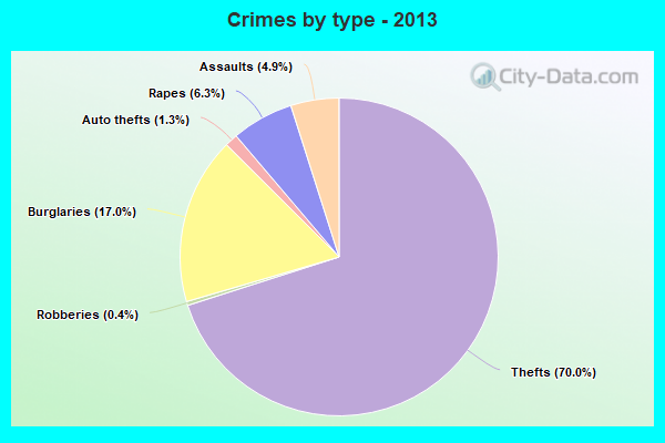 Crimes by type - 2013