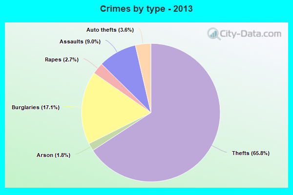 Crimes by type - 2013