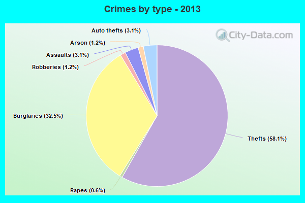 Crimes by type - 2013