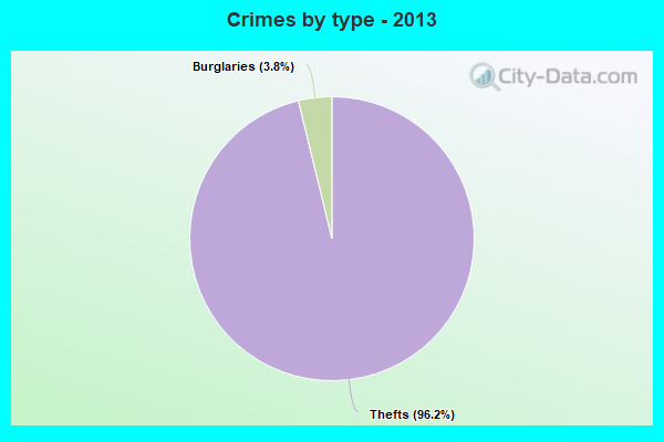 Crimes by type - 2013