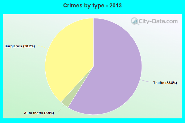 Crimes by type - 2013