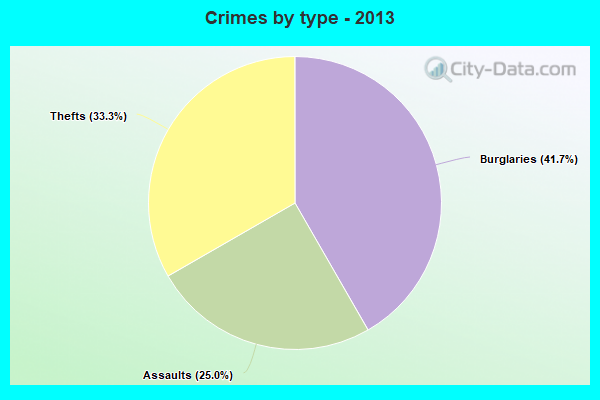 Crimes by type - 2013