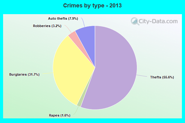 Crimes by type - 2013