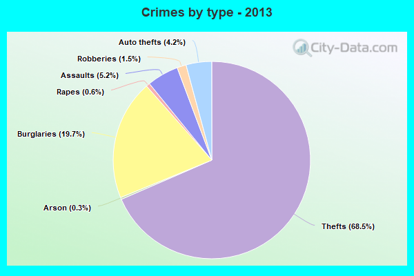 Crimes by type - 2013