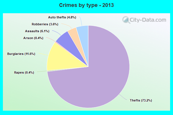 Crimes by type - 2013