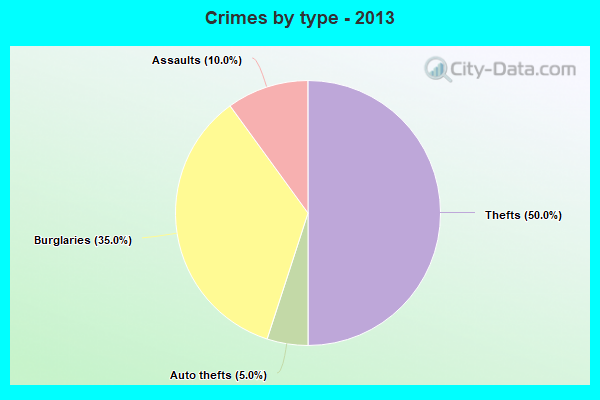 Crimes by type - 2013