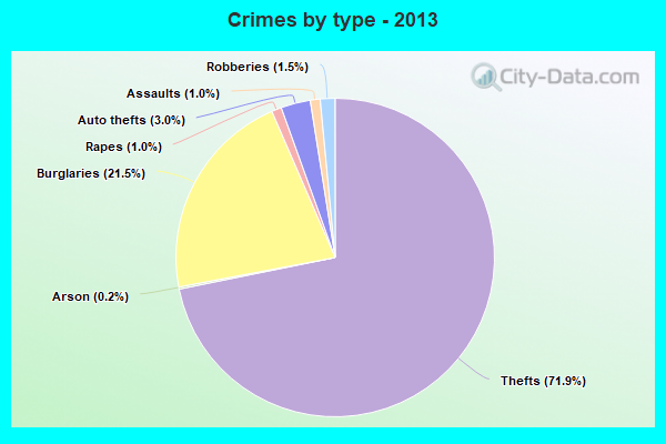 Crimes by type - 2013