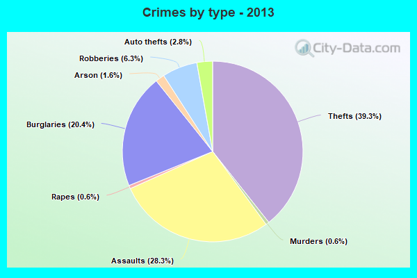 Crimes by type - 2013