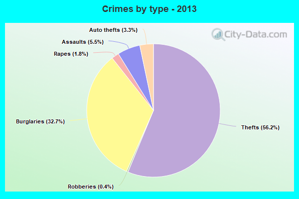 Crimes by type - 2013