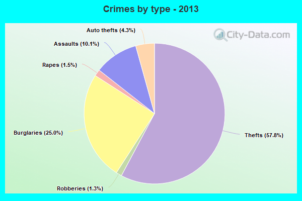 Crimes by type - 2013