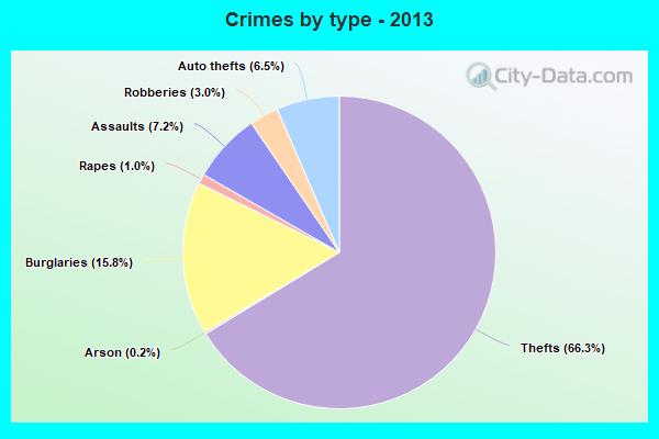 Crimes by type - 2013