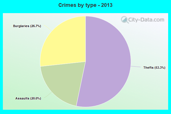 Crimes by type - 2013