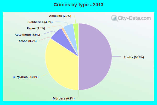 Crimes by type - 2013