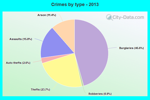 Crimes by type - 2013