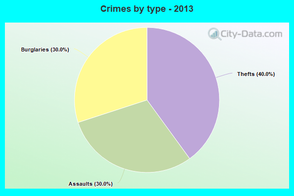 Crimes by type - 2013