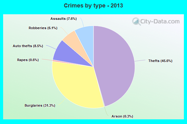 Crimes by type - 2013