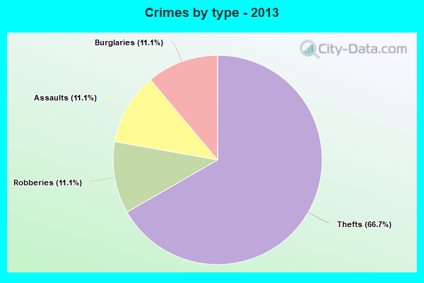 Crimes by type - 2013