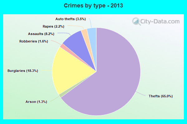 Crimes by type - 2013