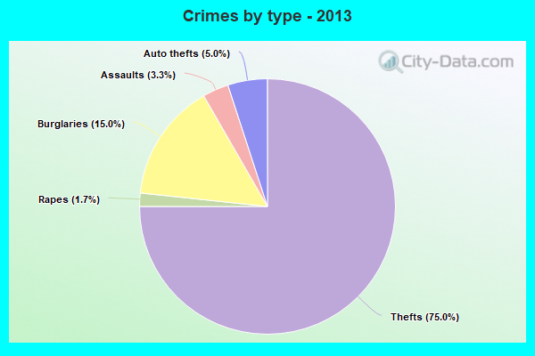 Crimes by type - 2013