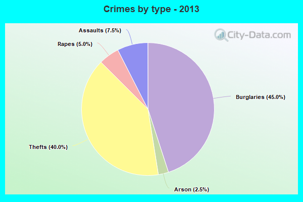 Crimes by type - 2013