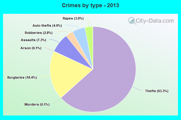 Crimes by type - 2013