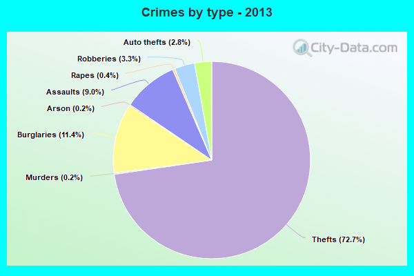 Crimes by type - 2013