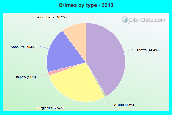 Crimes by type - 2013