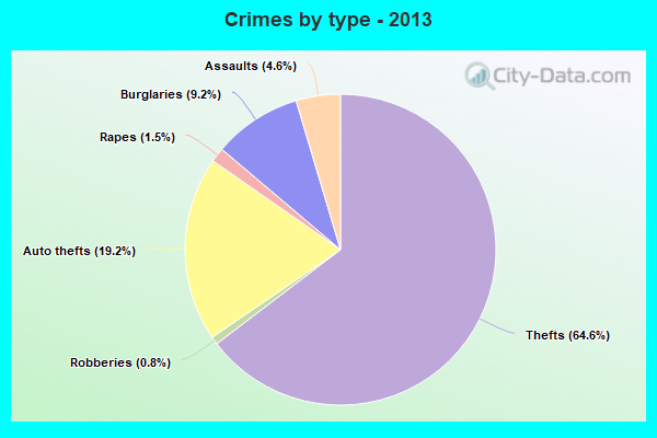 Crimes by type - 2013