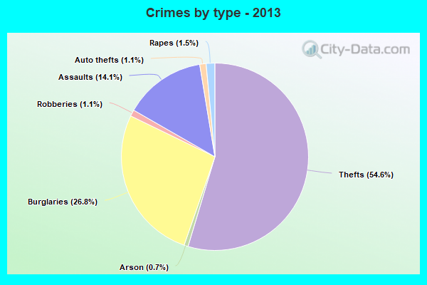 Crimes by type - 2013