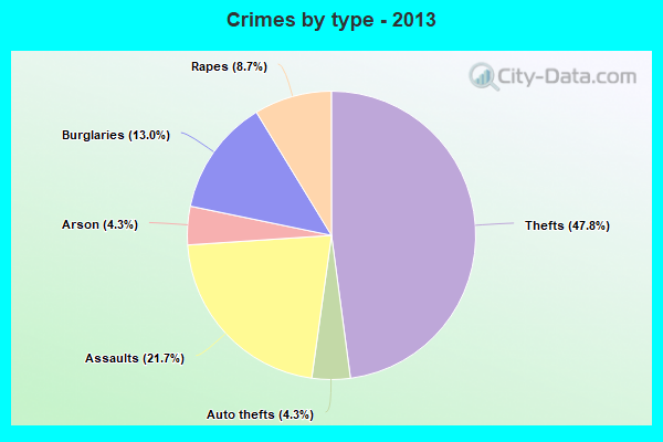 Crimes by type - 2013