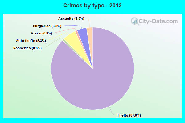 Crimes by type - 2013