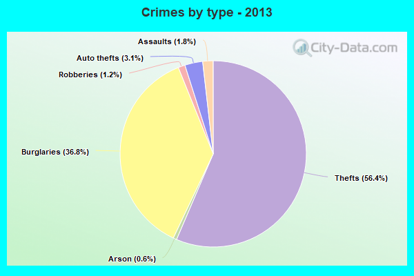 Crimes by type - 2013