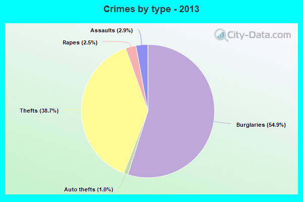 Crimes by type - 2013