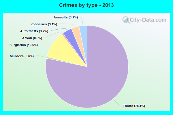 Crimes by type - 2013