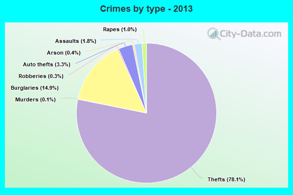 Crimes by type - 2013