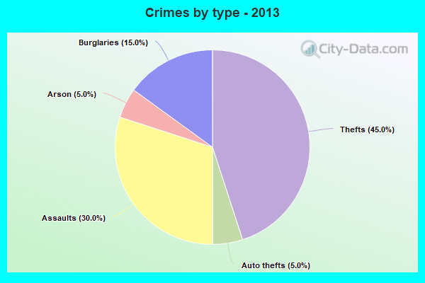 Crimes by type - 2013