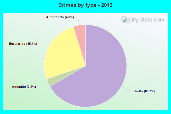 Crimes by type - 2013