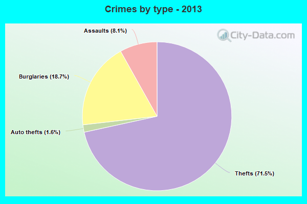 Crimes by type - 2013