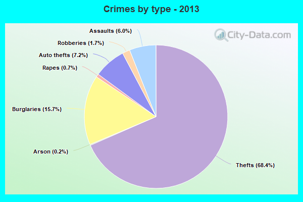 Crimes by type - 2013