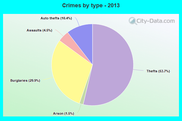 Crimes by type - 2013