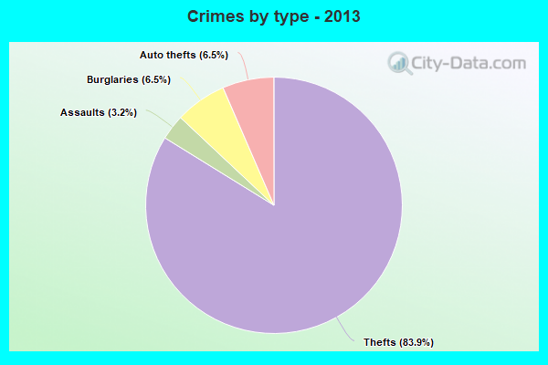 Crimes by type - 2013