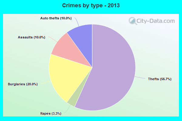 Crimes by type - 2013