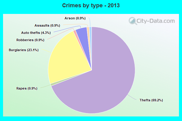 Crimes by type - 2013