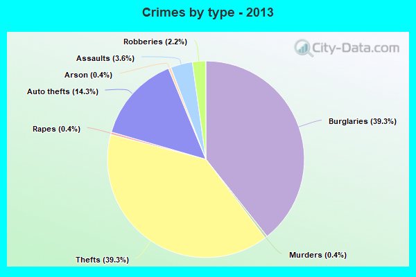 Crimes by type - 2013