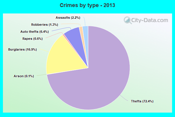 Crimes by type - 2013