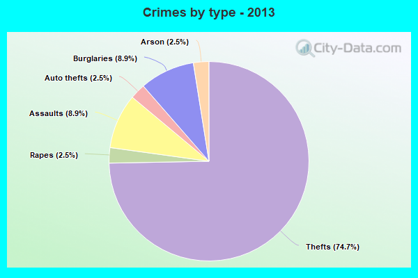 Crimes by type - 2013