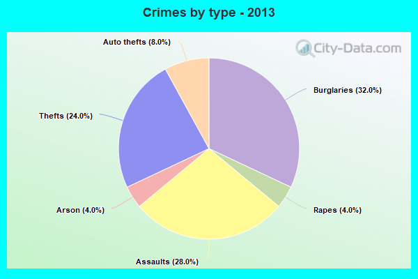 Crimes by type - 2013