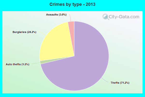 Crimes by type - 2013